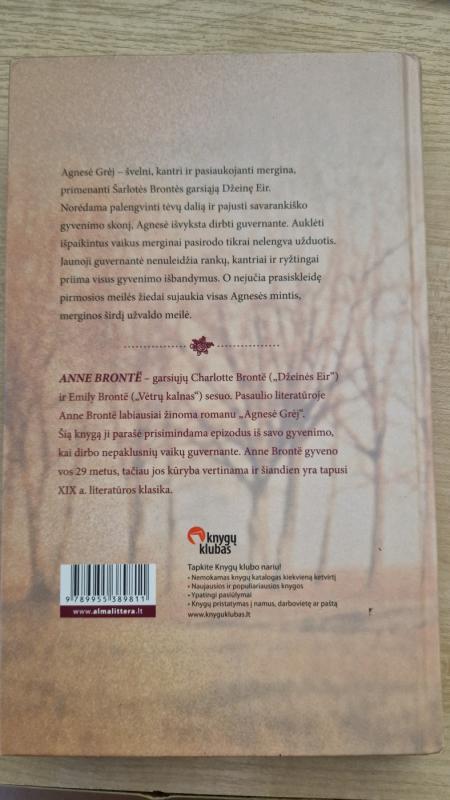 Agnesė Grėj - Anne Bronte, knyga 3