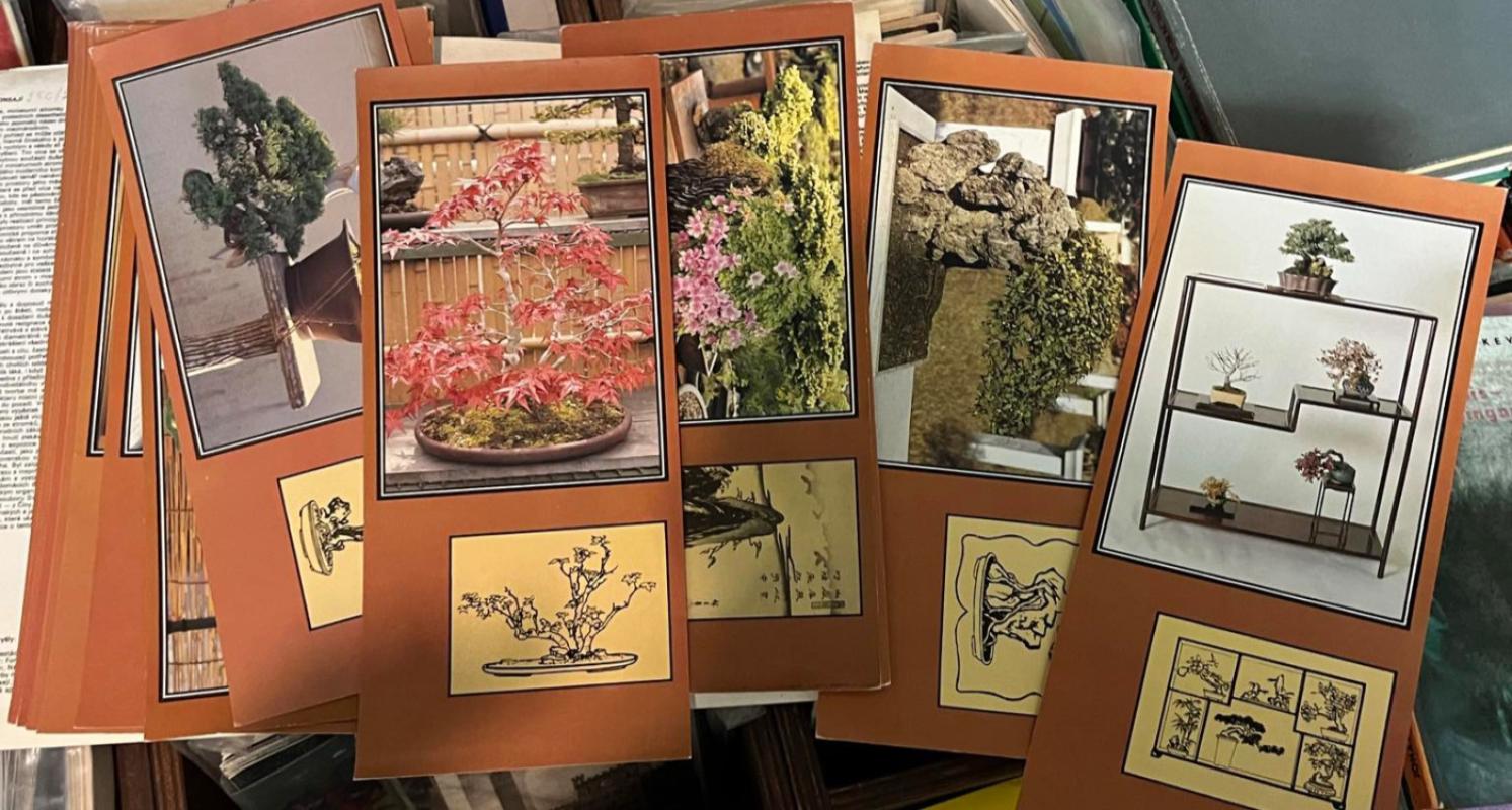 Svět bonsají - Įvairūs autoriai, knyga 3