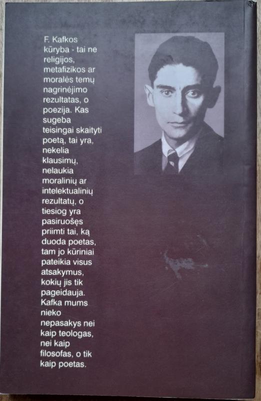 Amerika (Pražuvėlis) - Franz Kafka, knyga 3