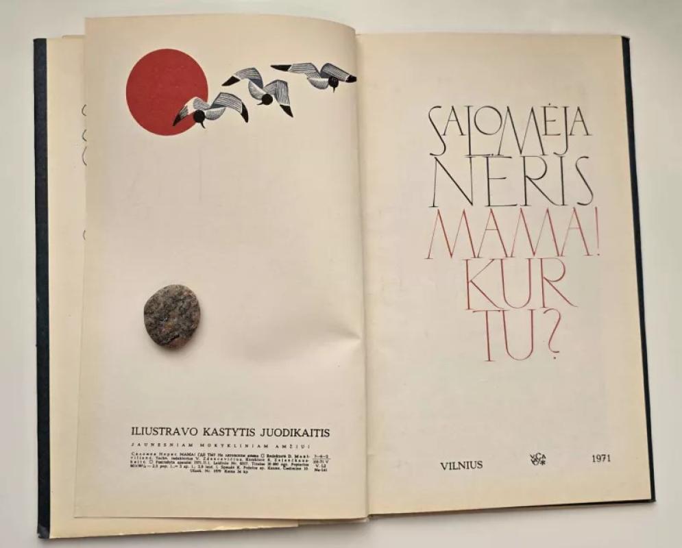 Mama, kur tu? - Salomėja Nėris, knyga 5