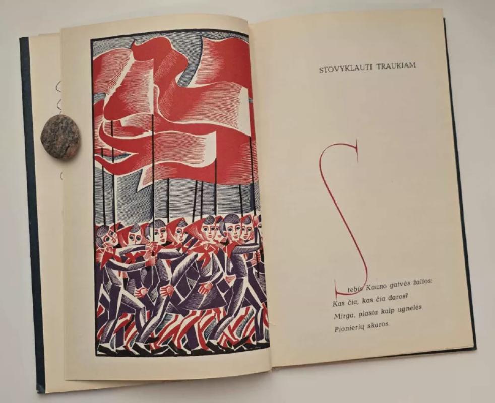 Mama, kur tu? - Salomėja Nėris, knyga 4