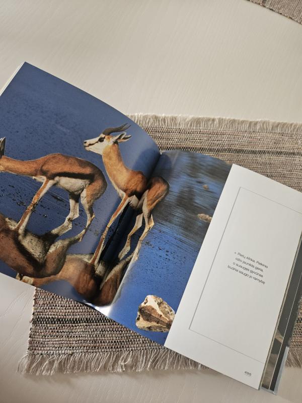 Gyvūnų jaunikliai - Autorių Kolektyvas, knyga 3