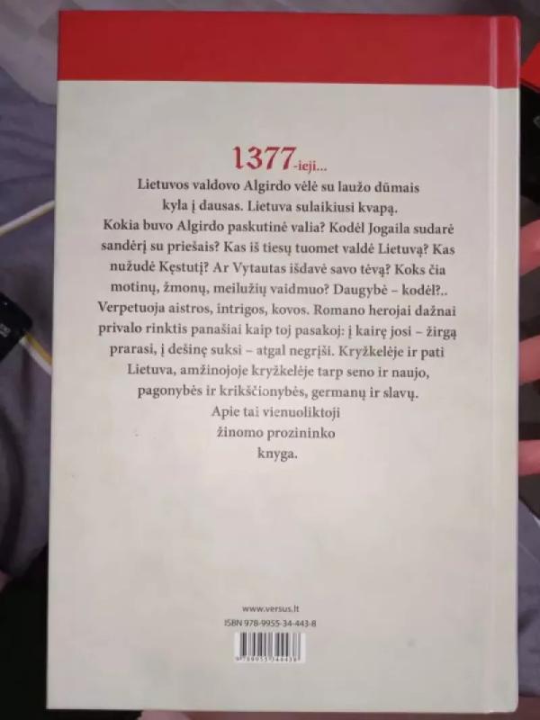 Amžinoji kryžkelė - Vydas Astas, knyga 4