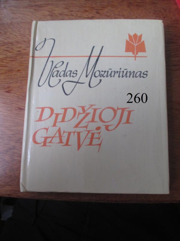 Didžioji gatvė - Vladas Mozūriūnas, knyga 2