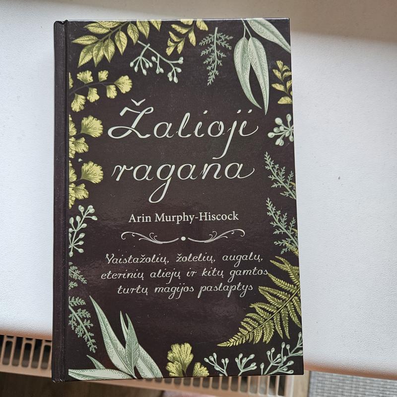 Žalioji ragana - Arin Murphy-Hiscock, knyga 2