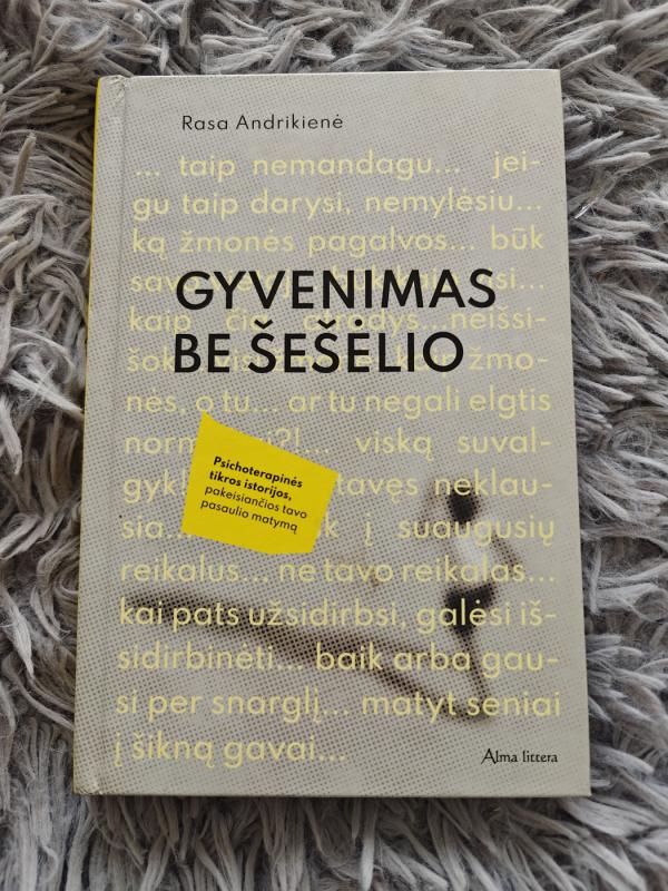 Gyvenimas be šešėlio - Rasa Andrikienė, knyga 2