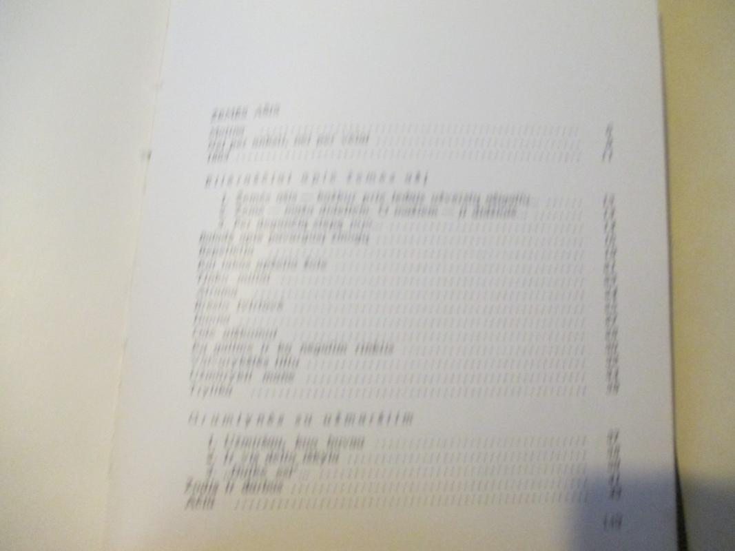 Akimirkos - Algimantas Baltakis, knyga 5