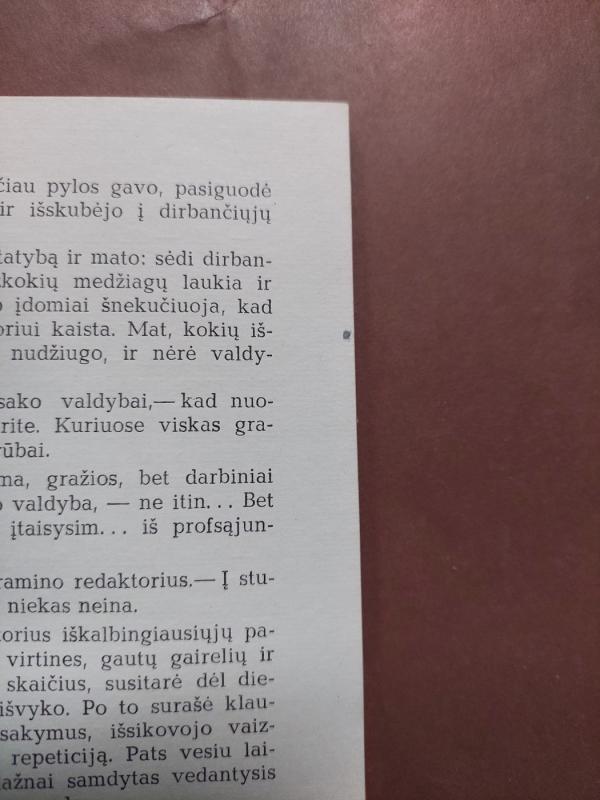 Diedelis - Kazys Bagdonavičius, knyga 4