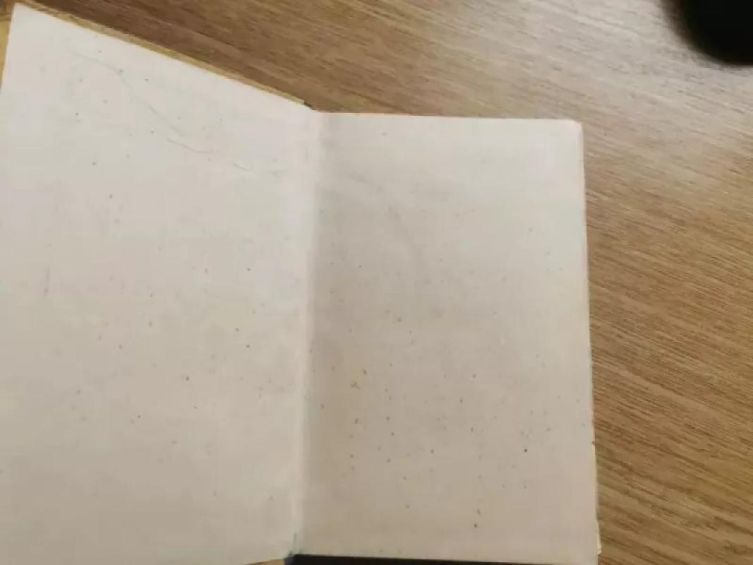 Medvilnės rinkėjai - Brunas Travenas, knyga 3