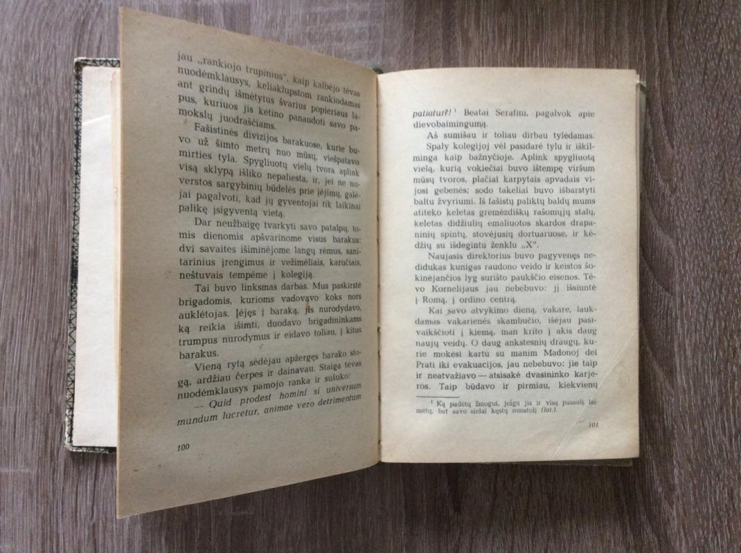 Brolis Beatas Serafinis - Virdžilijus Skapinas, knyga 4