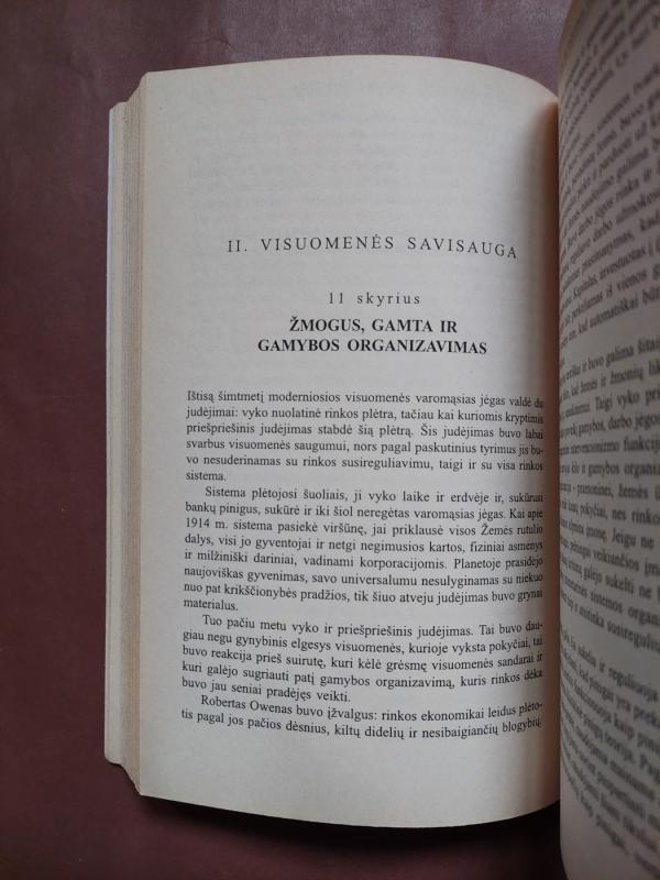 Didžioji transformacija - Karl Polanyi, knyga 6