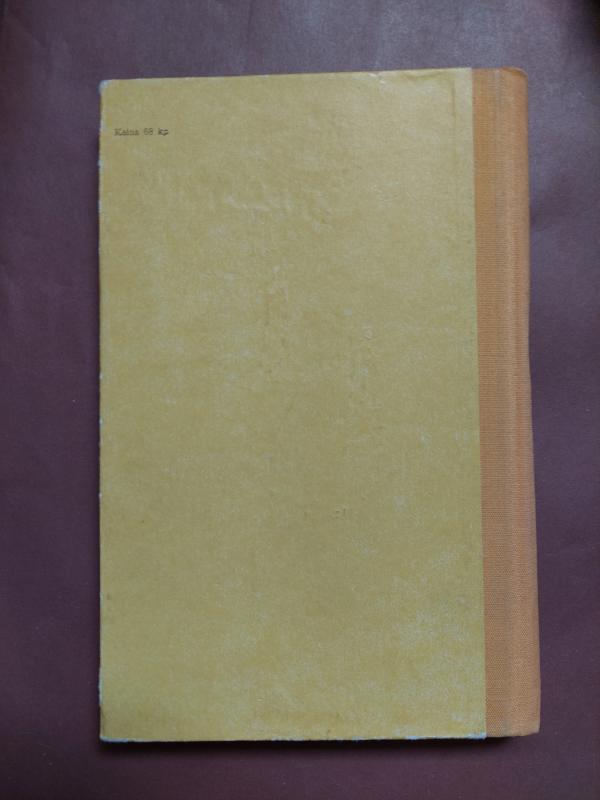 Didysis žaidimas - Tarjei Vesosas, knyga 5