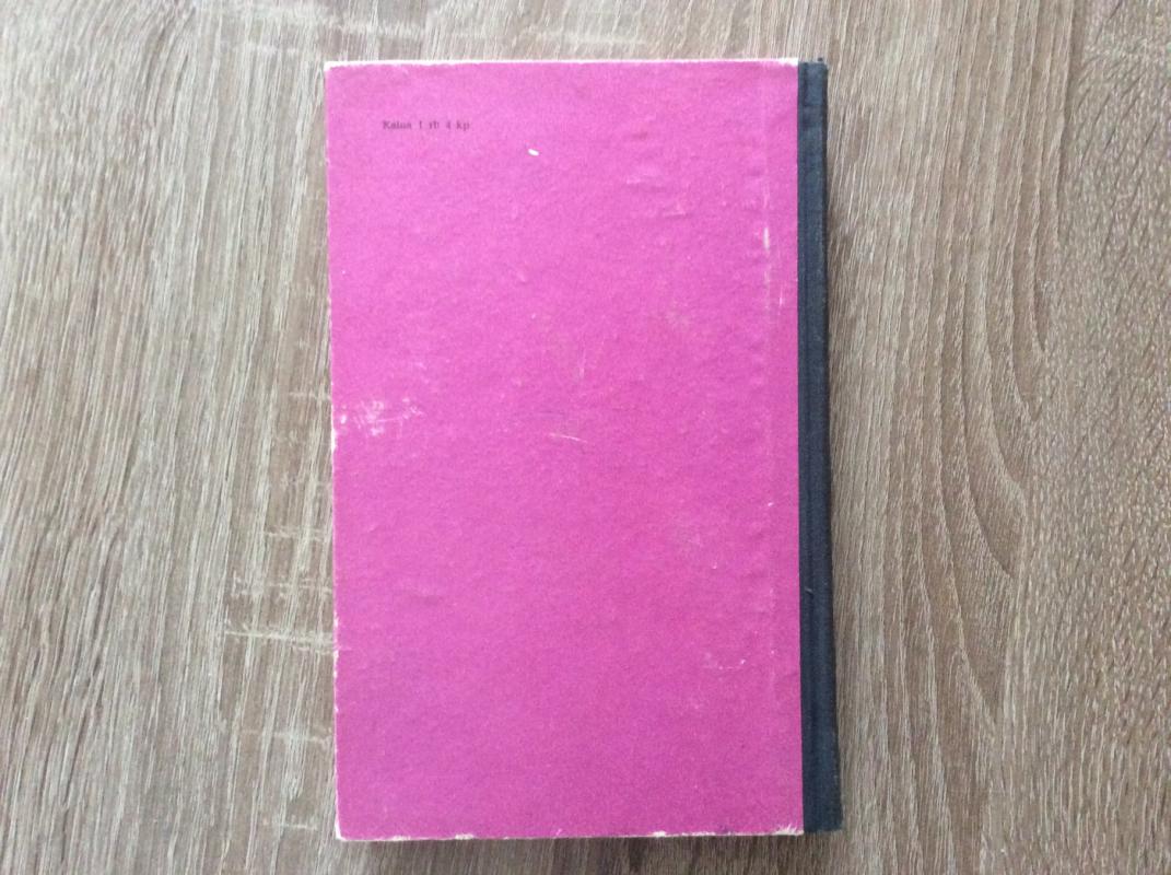 Drinos tiltas - Ivas Andričius, knyga 5