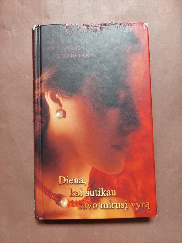 Diena, kai sutikau savo mirusį vyrą - Andrea Paluch, Robert  Habeck, knyga 2