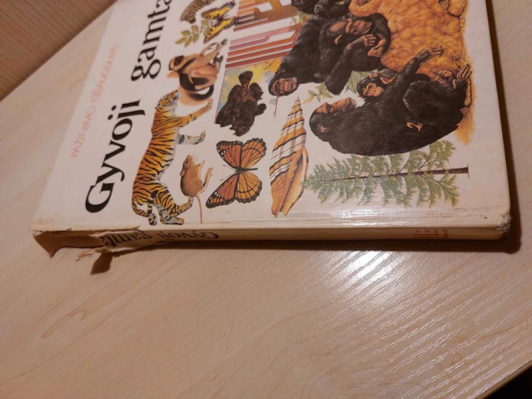 Gyvoji gamta - J. Mitchell, knyga 4