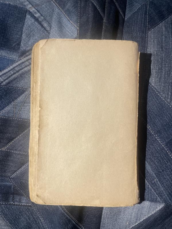 Nusidejele - Karole Pozeraite, knyga 4