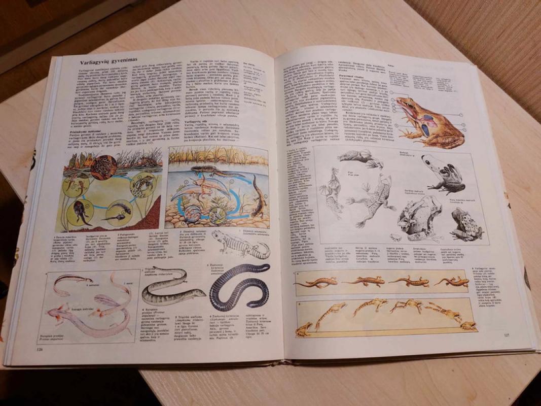 Gyvoji gamta - J. Mitchell, knyga 3