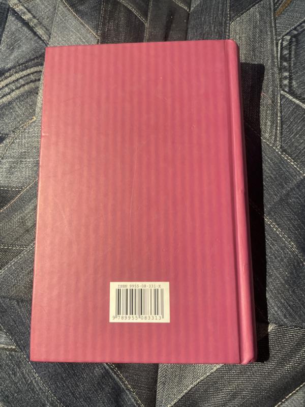 Griaustinis ir "Žaibai" - Jan Mark, knyga 4