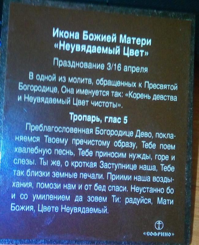 Dievo motinos paveikslas "Vaikystės šaknys ir nevystančio nekaltumo spalva" - , namai ir interjeras 3