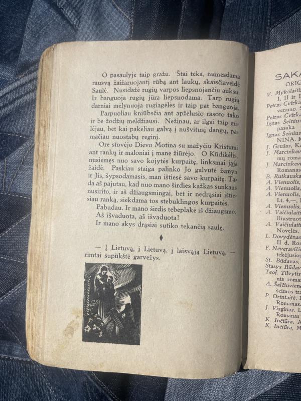 Nusidejele - Karole Pozeraite, knyga 5