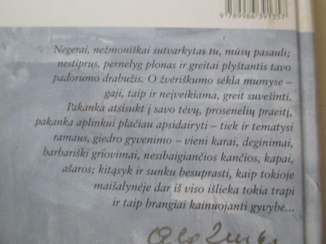 ...eina... - Algimantas Zurba, knyga 4