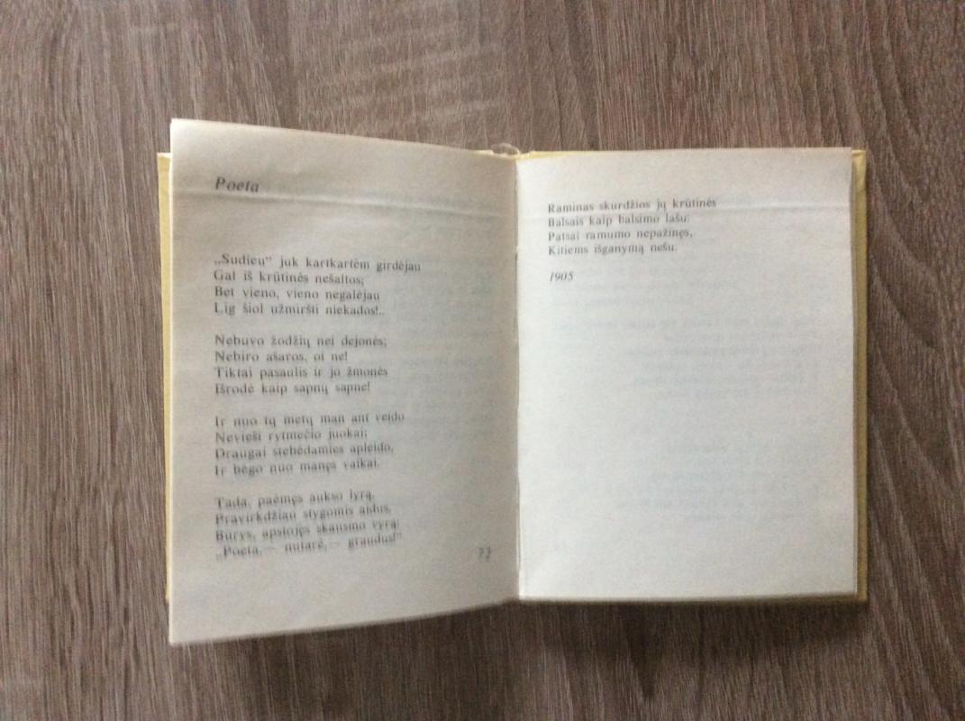 Kur bėga šešupė -  Maironis, knyga 4