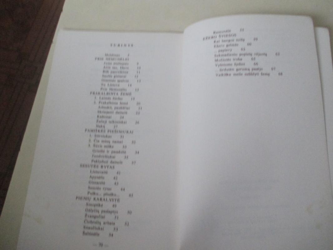 Butkevičienė Saulės gintarai - Joana Butkevičienė, Stasys  Butkevičius, knyga 4