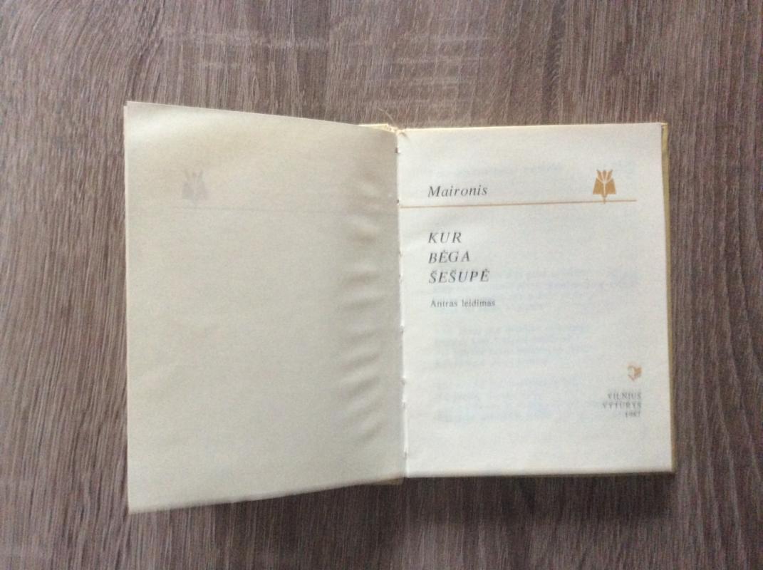 Kur bėga šešupė -  Maironis, knyga 3
