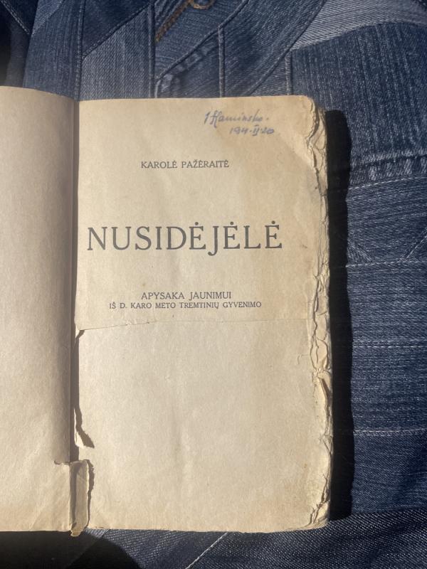 Nusidejele - Karole Pozeraite, knyga 3