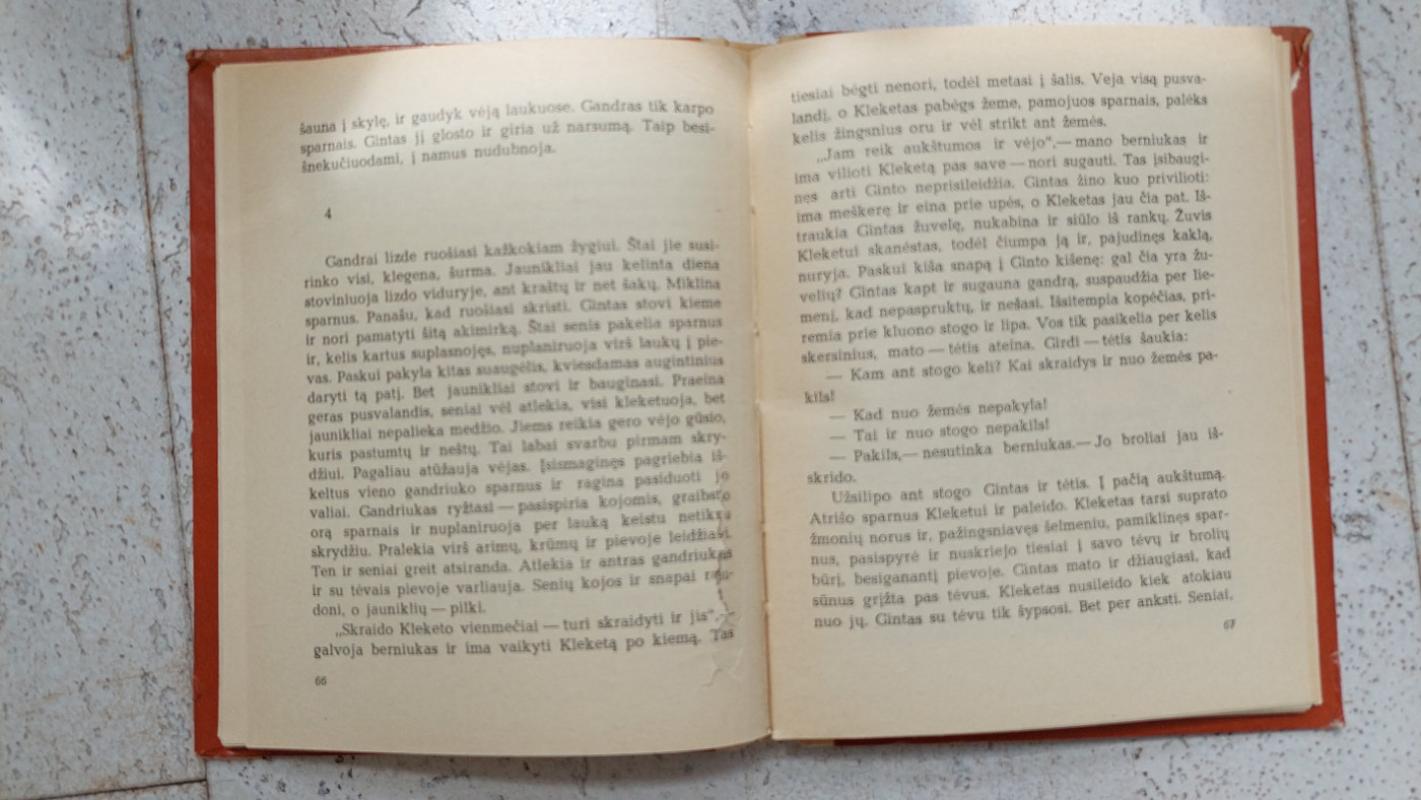 Svetimuose namuose - Gediminas Isokas, knyga 4