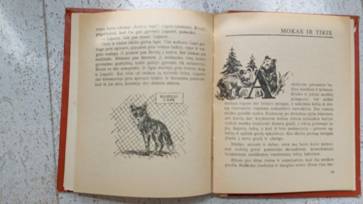 Svetimuose namuose - Gediminas Isokas, knyga 6