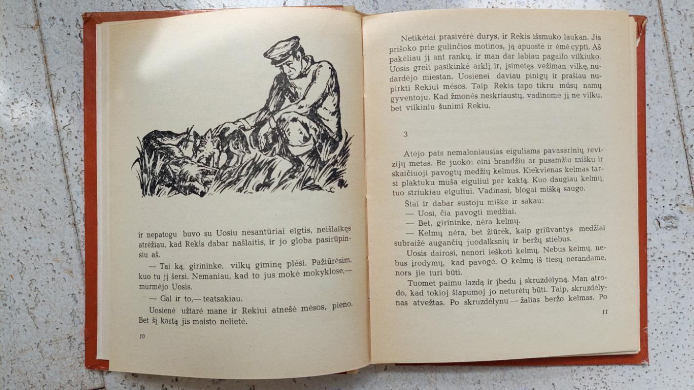 Svetimuose namuose - Gediminas Isokas, knyga 3