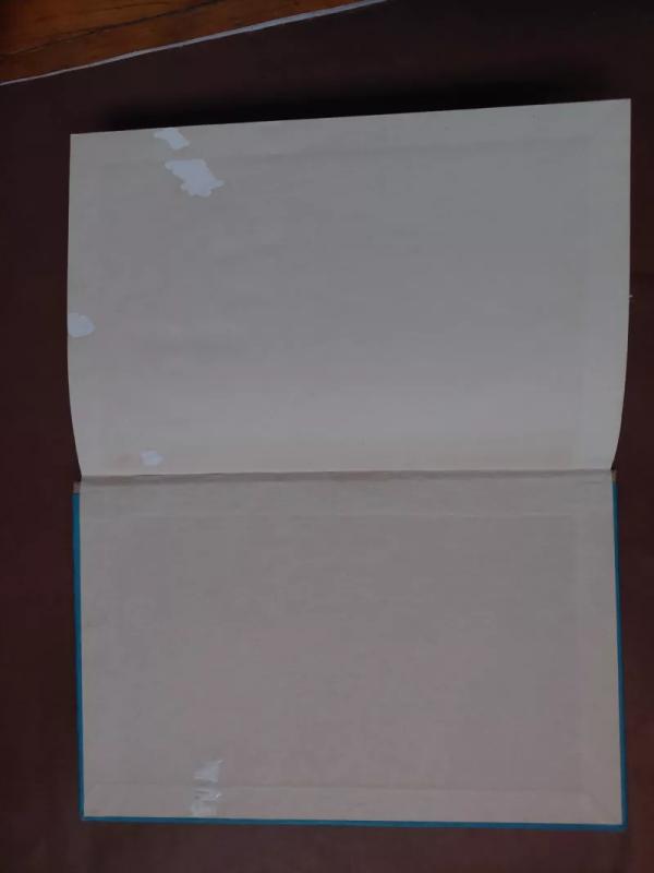 Diktantai VIII-IX kl. - Bronius Dobrovolskis, knyga 3