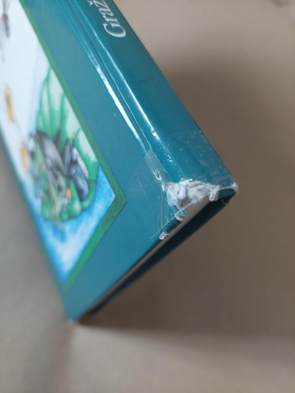 Gražiausios Anderseno pasakos (I dalis) - H. K. Andersenas, knyga 3