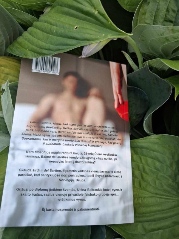 Patikrink mano vyrą - Gabrielė Kazlauskaitė, knyga 4