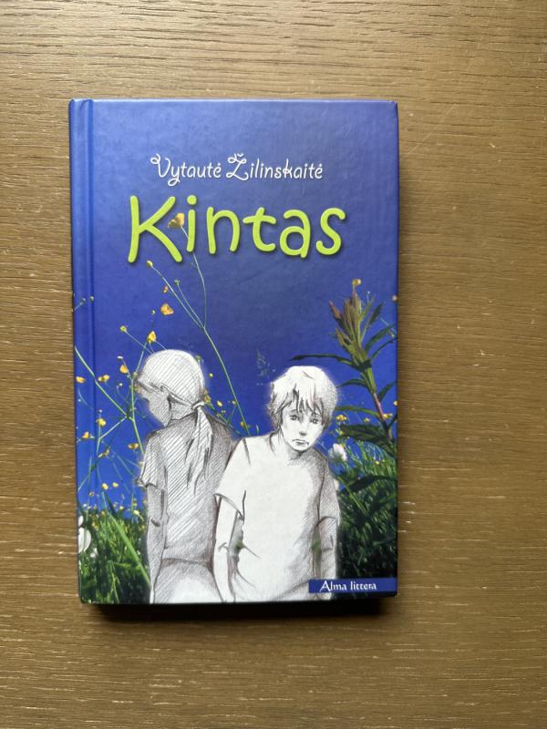 Kintas - Vytautė Žilinskaitė, knyga 2