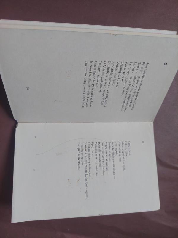 Dangiškos eglės - Vytautas Skripka, knyga 5