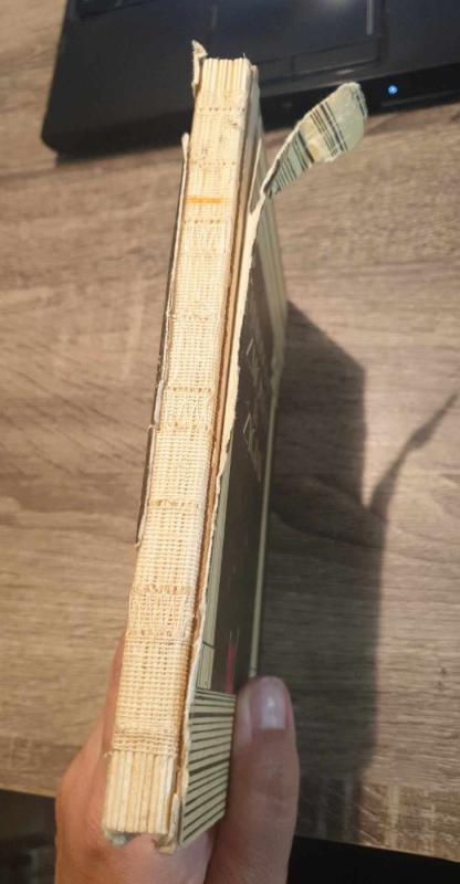 Žmonės ir žygiai - Herodotas, knyga 6