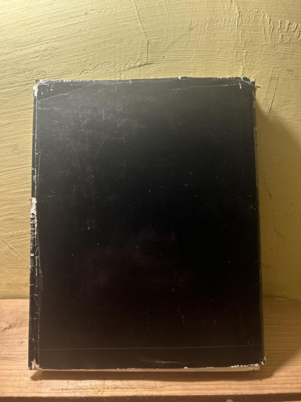 Estetika - Vosylius Sezemanas, knyga 3