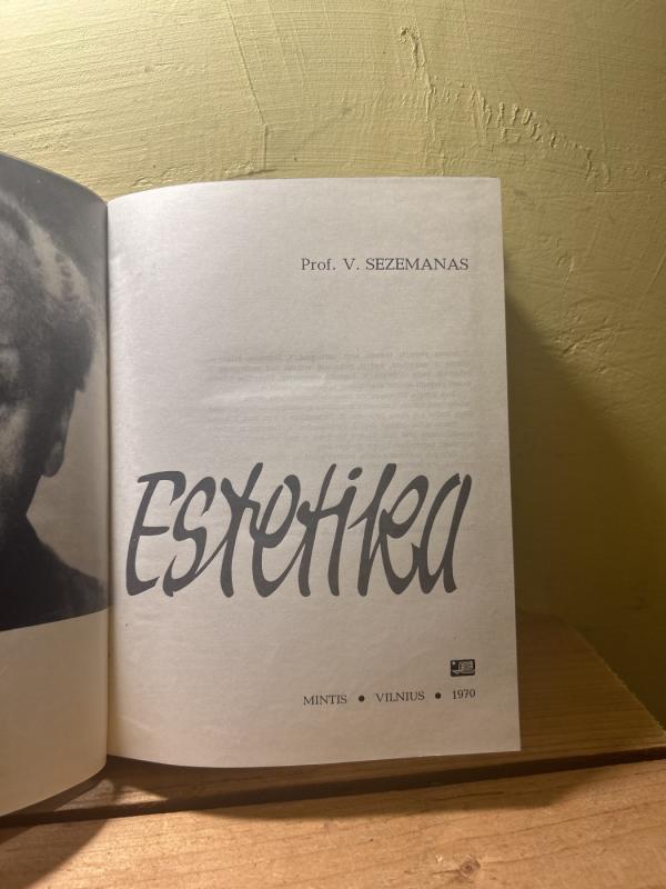 Estetika - Vosylius Sezemanas, knyga 6