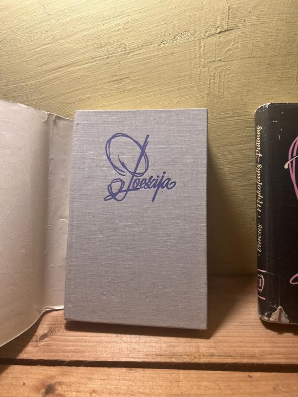 Poezija I, II tomai - Vincas Mykolaitis-Putinas, knyga 4