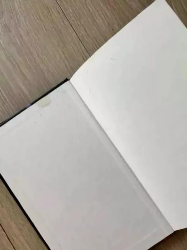 Vidurnakčio saulė - Jo Nesbo, knyga 4