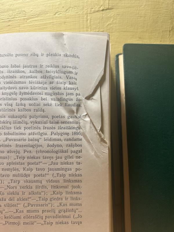 Rinktiniai raštai (2 tomai) -  Maironis, knyga 6