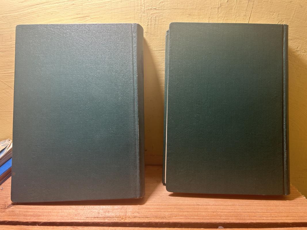 Rinktiniai raštai (2 tomai) -  Maironis, knyga 3