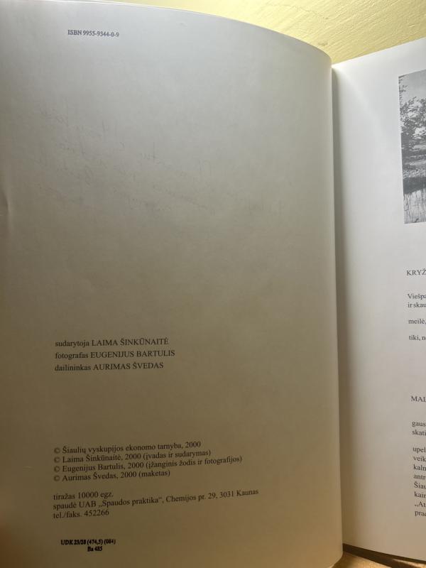 Kryžių kalnas - Laima Šinkūnaitė, Eugenijus Bartulis, Aurimas Švedas, knyga 4