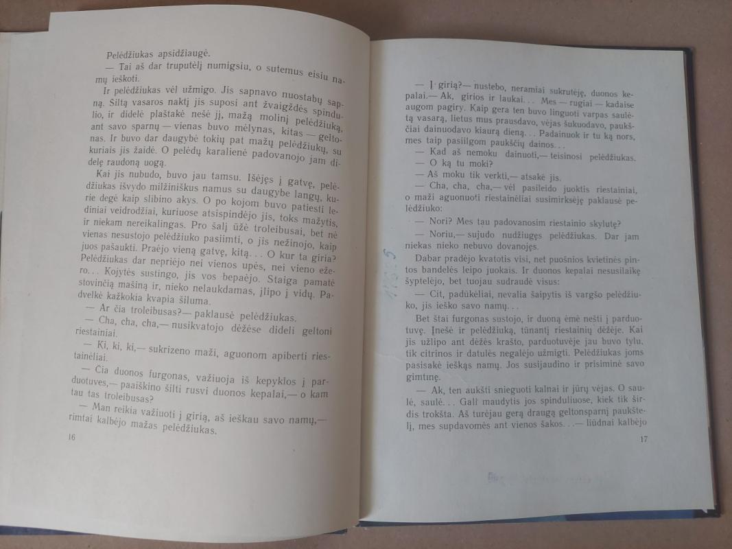 Pelėdžiuko sapnas - Janina Degutytė, knyga 4