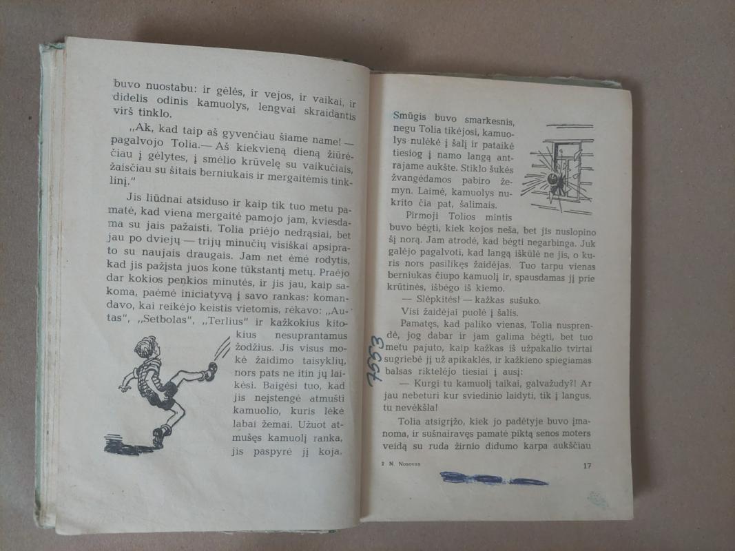 Tolios Kliukvino nuotykiai - Nikolajus Nosovas, knyga 4