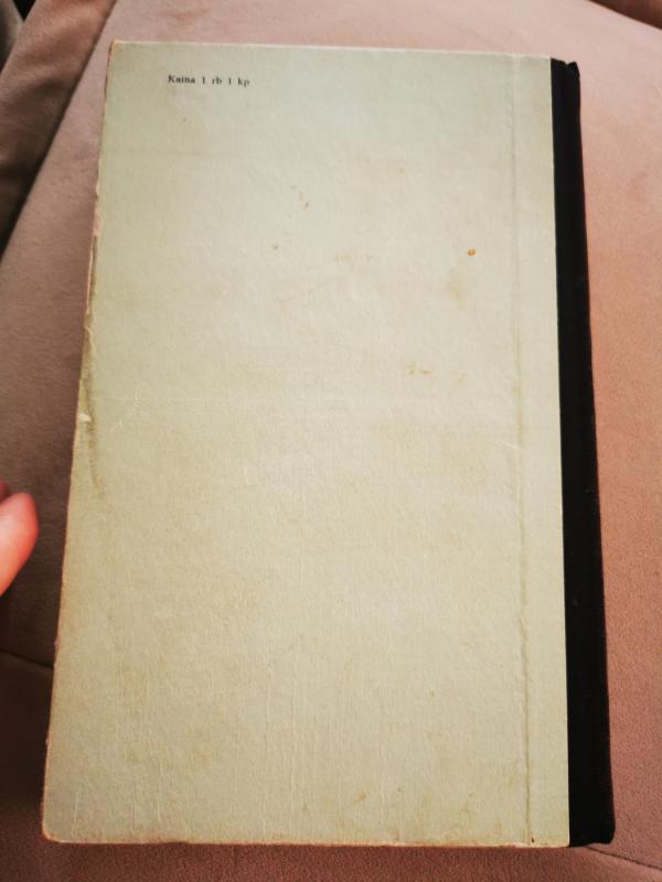 Vien saulės negana - Dimfna Kjuzek, knyga 3