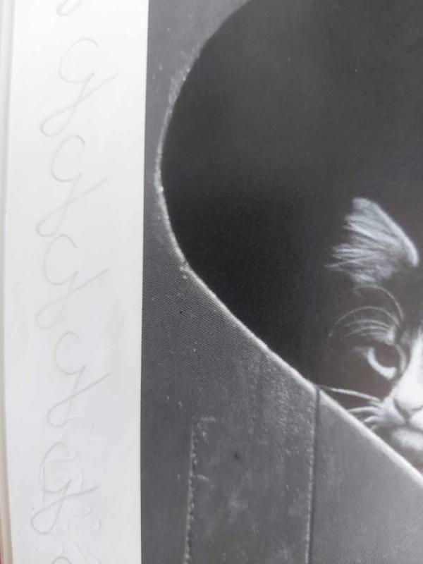 Tau, mano Mamyte - Bradley Trevor Greive, knyga 3