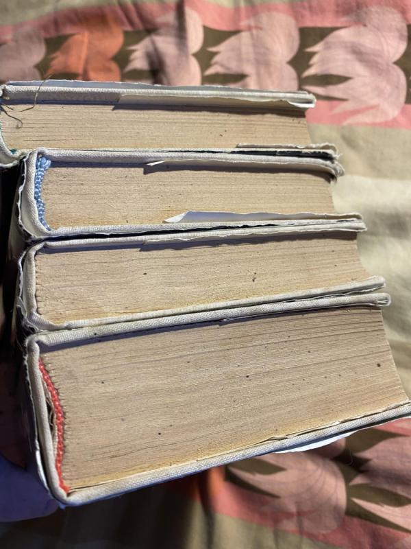 Vargdieniai - Viktoras Hugo, knyga 4